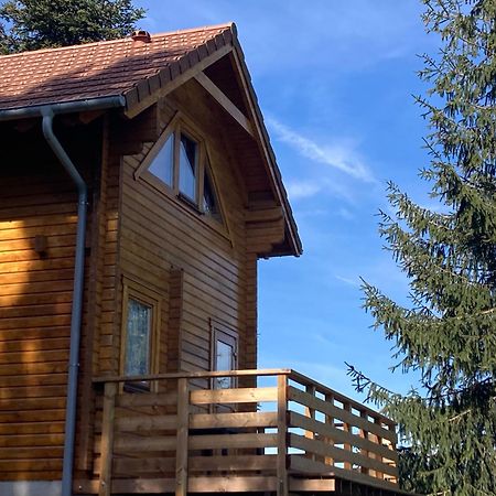 Chalet Authentique Au Calme, En Lisiere De Foret, Montagne, Sentiers 15Mn Gerardmer & Alsace "Chalet Mon Beau Sapin" アヌー エクステリア 写真