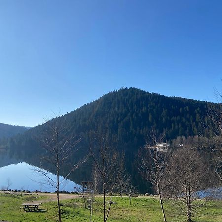 Chalet Authentique Au Calme, En Lisiere De Foret, Montagne, Sentiers 15Mn Gerardmer & Alsace "Chalet Mon Beau Sapin" アヌー エクステリア 写真