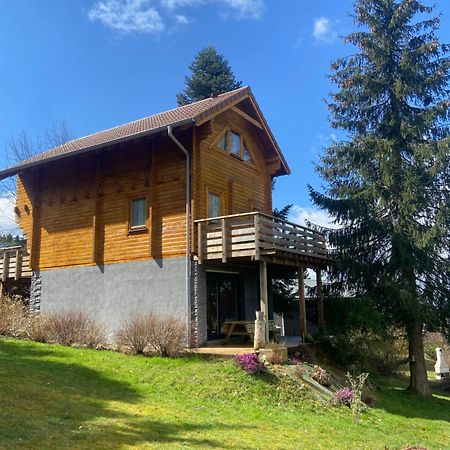 Chalet Authentique Au Calme, En Lisiere De Foret, Montagne, Sentiers 15Mn Gerardmer & Alsace "Chalet Mon Beau Sapin" アヌー エクステリア 写真