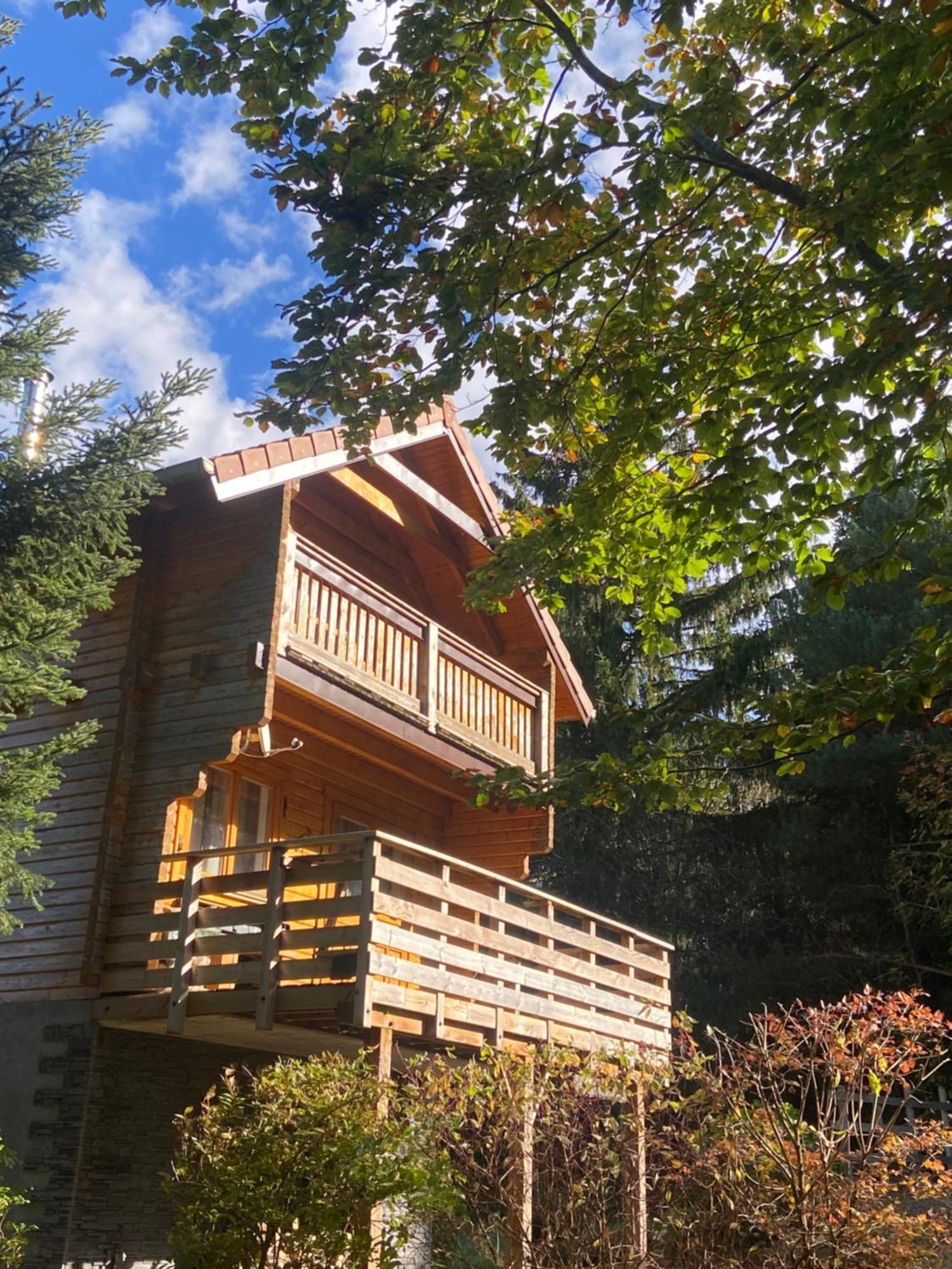 Chalet Authentique Au Calme, En Lisiere De Foret, Montagne, Sentiers 15Mn Gerardmer & Alsace "Chalet Mon Beau Sapin" アヌー エクステリア 写真