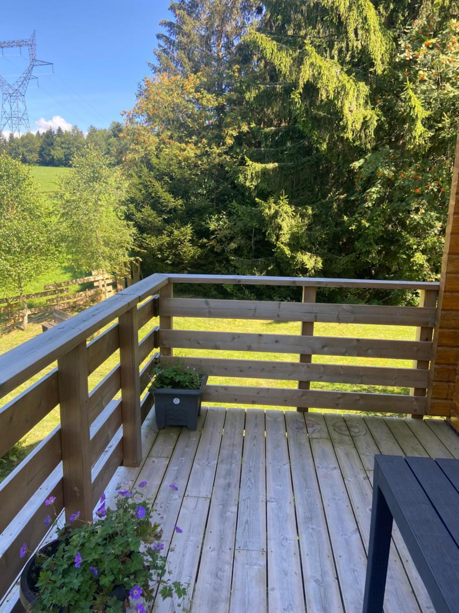 Chalet Authentique Au Calme, En Lisiere De Foret, Montagne, Sentiers 15Mn Gerardmer & Alsace "Chalet Mon Beau Sapin" アヌー エクステリア 写真