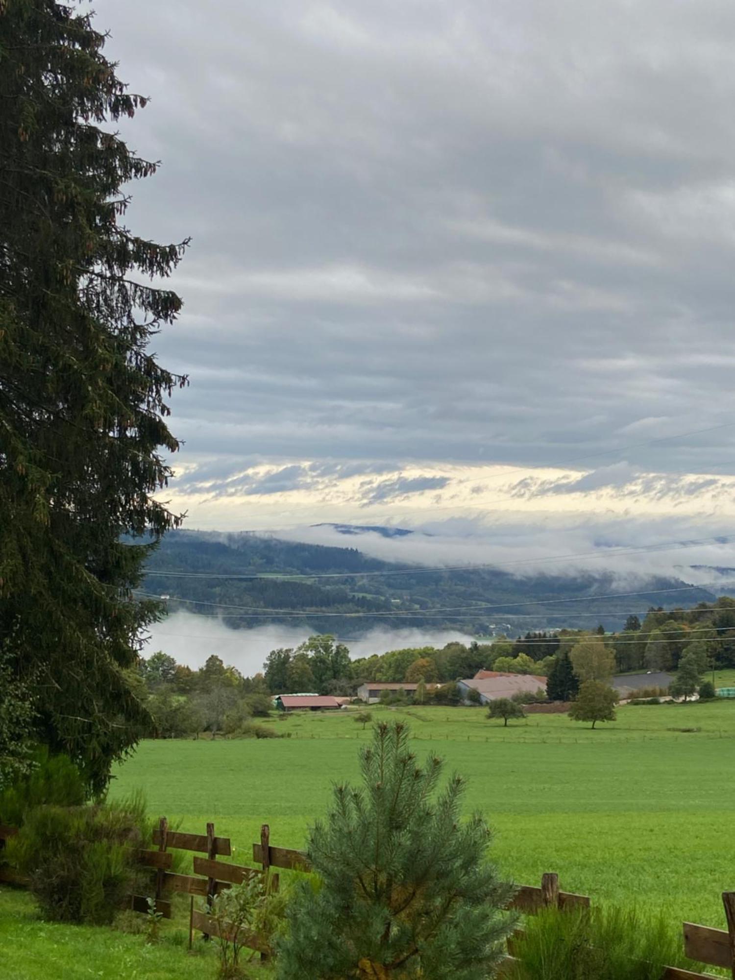 Chalet Authentique Au Calme, En Lisiere De Foret, Montagne, Sentiers 15Mn Gerardmer & Alsace "Chalet Mon Beau Sapin" アヌー エクステリア 写真