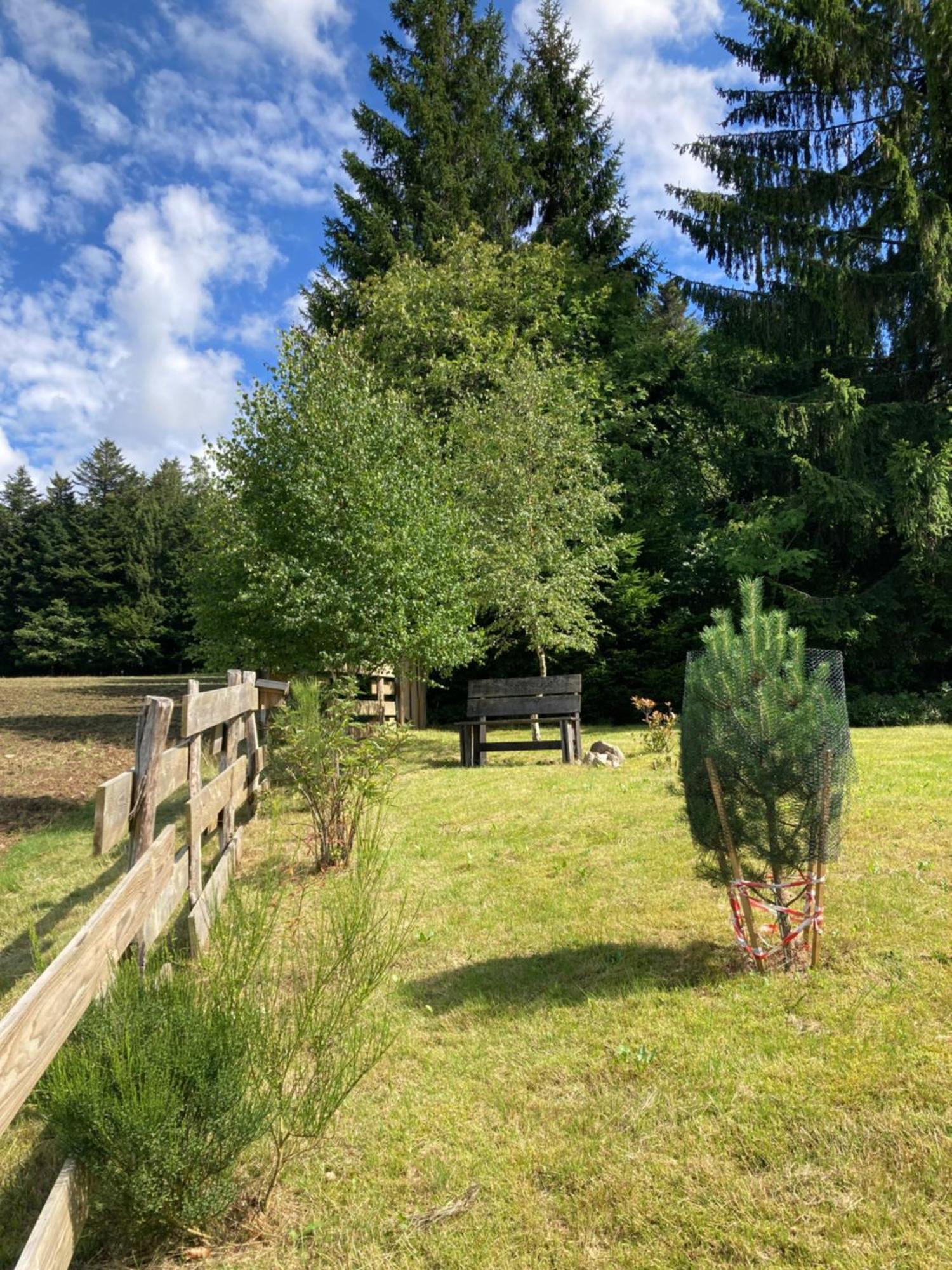 Chalet Authentique Au Calme, En Lisiere De Foret, Montagne, Sentiers 15Mn Gerardmer & Alsace "Chalet Mon Beau Sapin" アヌー エクステリア 写真