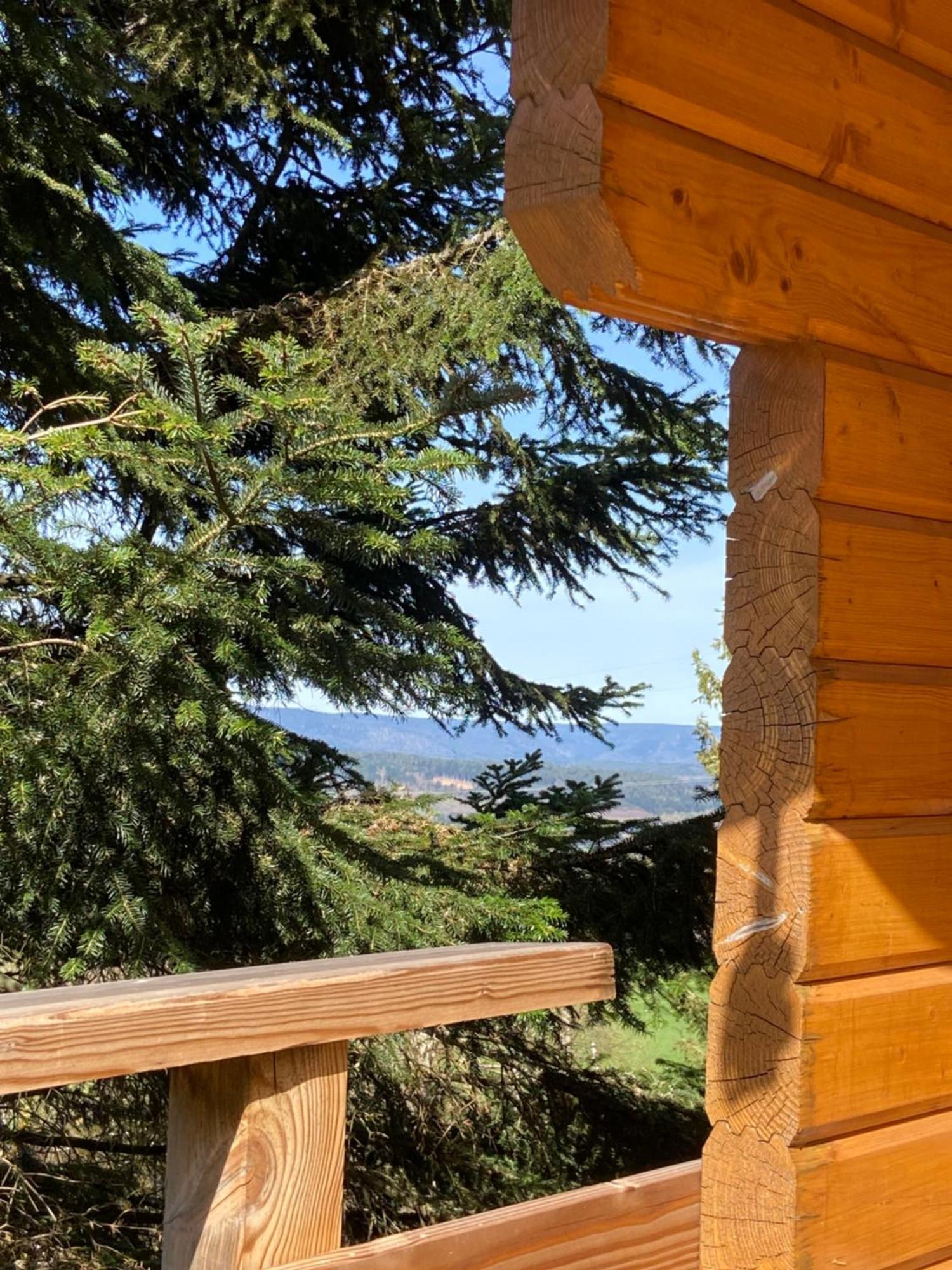 Chalet Authentique Au Calme, En Lisiere De Foret, Montagne, Sentiers 15Mn Gerardmer & Alsace "Chalet Mon Beau Sapin" アヌー エクステリア 写真