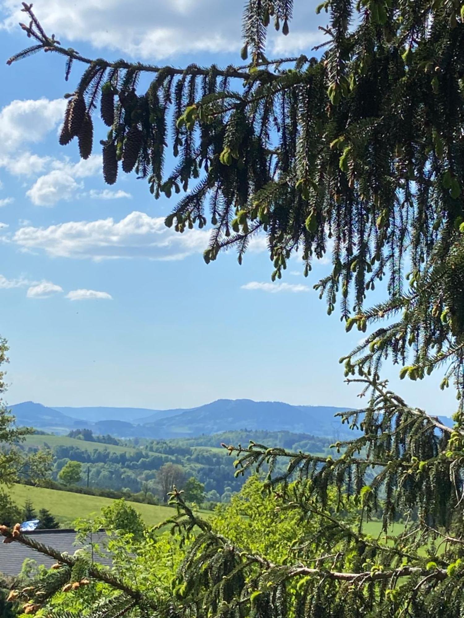 Chalet Authentique Au Calme, En Lisiere De Foret, Montagne, Sentiers 15Mn Gerardmer & Alsace "Chalet Mon Beau Sapin" アヌー エクステリア 写真